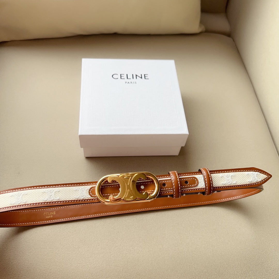 CELINE | Medium Triomphe Belt in Triomphe Canvas