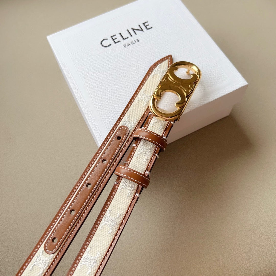 CELINE | Medium Triomphe Belt in Triomphe Canvas