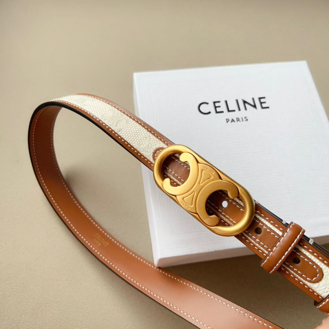 CELINE | Medium Triomphe Belt in Triomphe Canvas