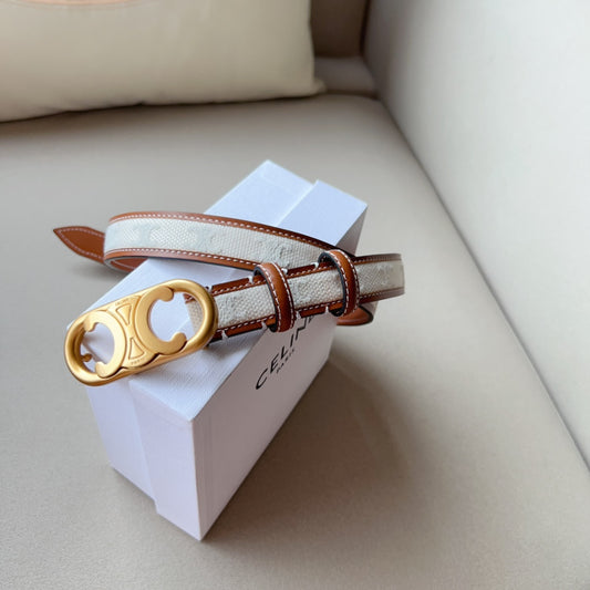 CELINE | Medium Triomphe Belt in Triomphe Canvas