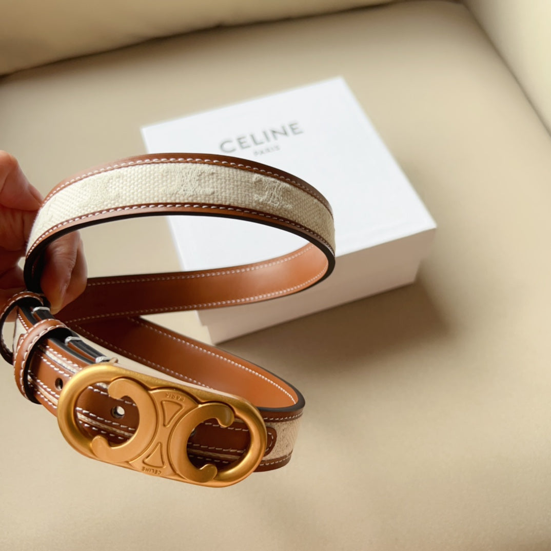 CELINE | Medium Triomphe Belt in Triomphe Canvas