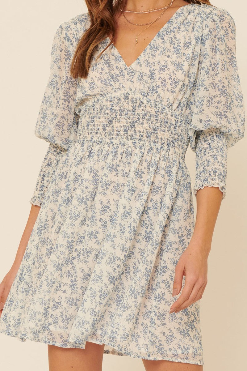 A Floral-print Chiffon Mini Dress