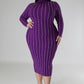 Turtle Neck Stretch Dress