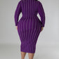 Turtle Neck Stretch Dress